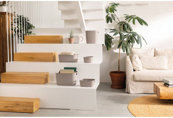 Set di 2 cestini in plastica 26x19x11 cm Softex - Curver