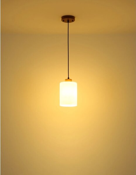 Globo 15977H - Lampada a sospensione con cavo ROWENA 1xE27/60W/230V beige/bianco