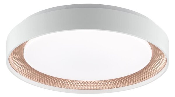 Brilliant - LED dimmerabile plafoniera WALDO LED/24W/230V bianco/oro rosa + telecomando
