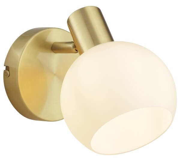 Brilliant - Applique a spot da parete CONY 1xE14/20W/230V ottone