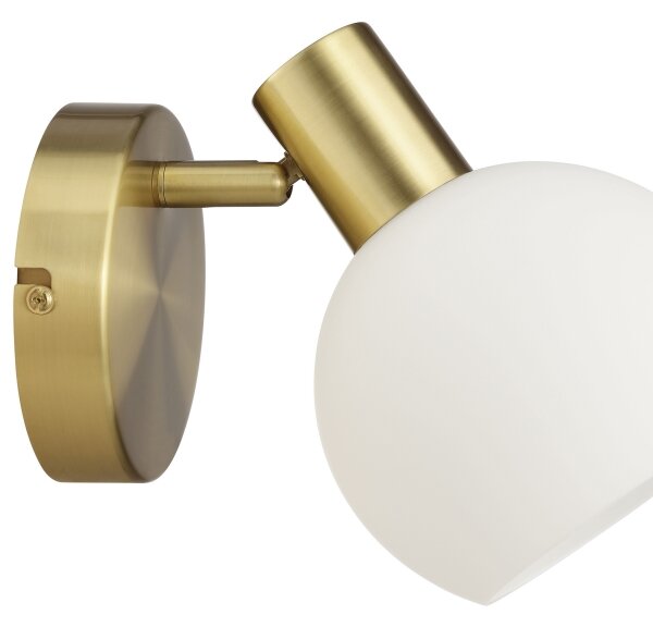Brilliant - Applique a spot da parete CONY 1xE14/20W/230V ottone