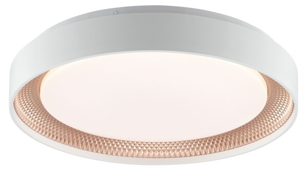 Brilliant - LED dimmerabile plafoniera WALDO LED/24W/230V bianco/oro rosa + telecomando