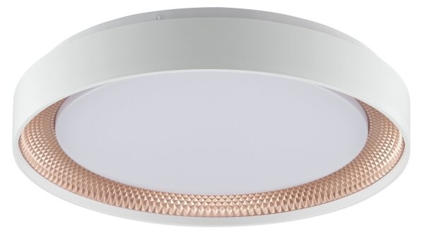 Brilliant - LED dimmerabile plafoniera WALDO LED/24W/230V bianco/oro rosa + telecomando