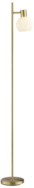 Brilliant - Lampada da terra CONY 1xE14/20W/230V ottone
