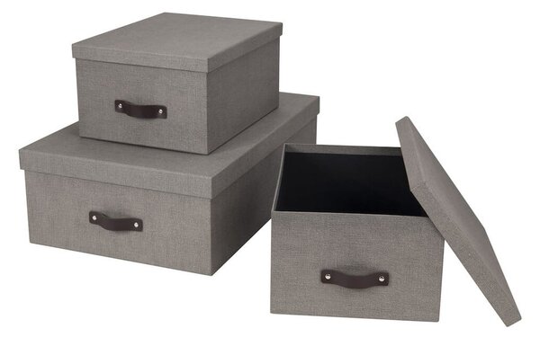 Scatole portaoggetti con coperchio in set da 3 Inge - Bigso Box of Sweden