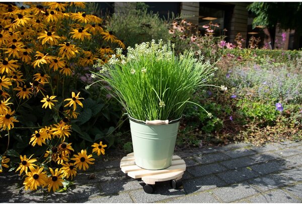 Supporto rotante per vaso in legno ø 29 cm (altezza totale 8 cm) Indoor & Outdoor – Esschert Design