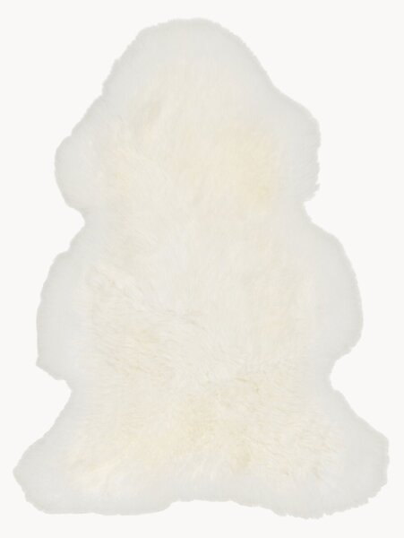 Pelle di pecora Texel