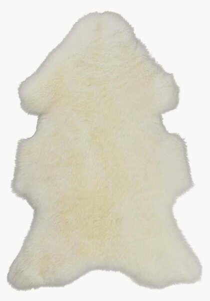 Pelle di pecora Texel