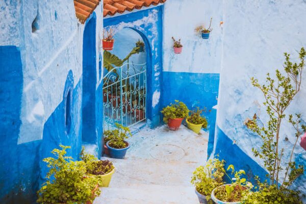 Fotografia Chefchaouen Blue city of Morocco, kotangens