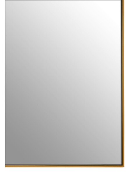 Specchio da parete 41x72 cm Matera - Premier Housewares