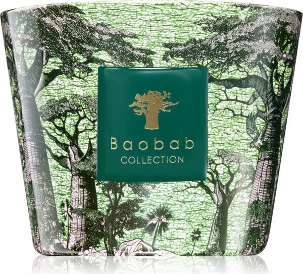 Baobab Collection Sacred Trees Touba candela profumata 500 g