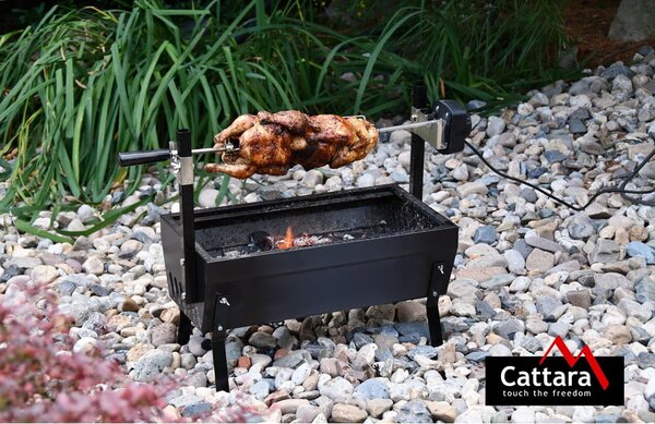 Griglia con motore, lunghezza 60 cm Barbecue - Cattara