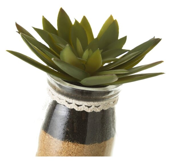 Piante artificiali in set da 4 (altezza 18 cm) Cactus - Casa Selección