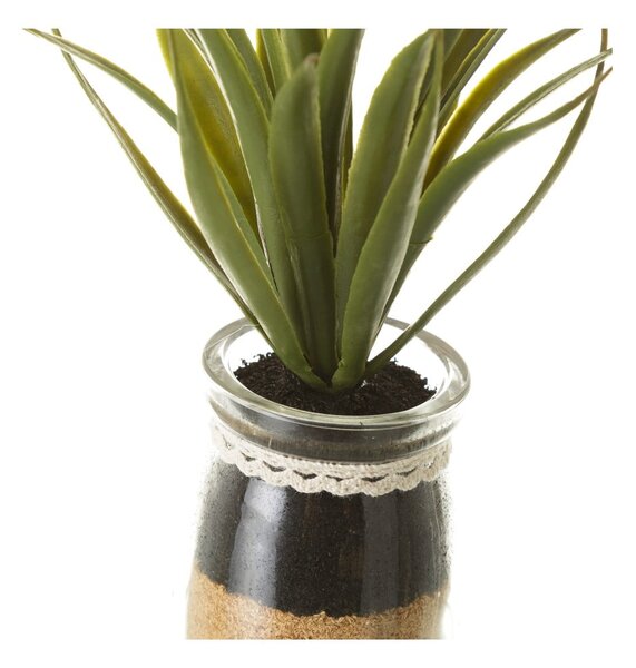 Piante artificiali in set da 4 (altezza 18 cm) Cactus - Casa Selección