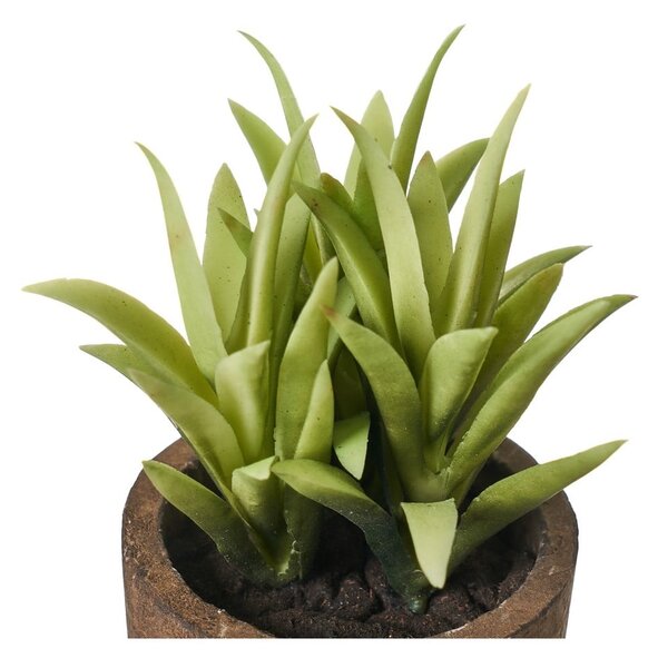 Piante artificiali in set da 4 (altezza 10 cm) Cactus - Casa Selección