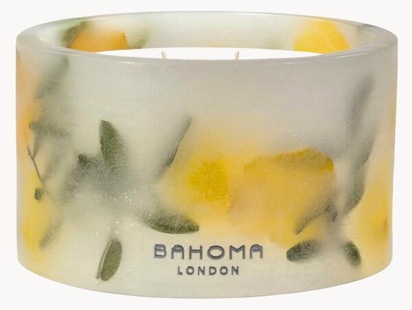 Candela profumata a tre stoppini fatta a mano Botanica (Pino, Agrumi, Cedro)