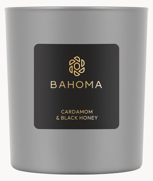 Candela profumata fatta a mano Ash (cardamomo, miele nero)