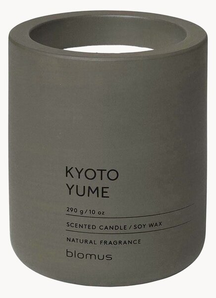 Candela profumata Fraga (Kyoto Yume)