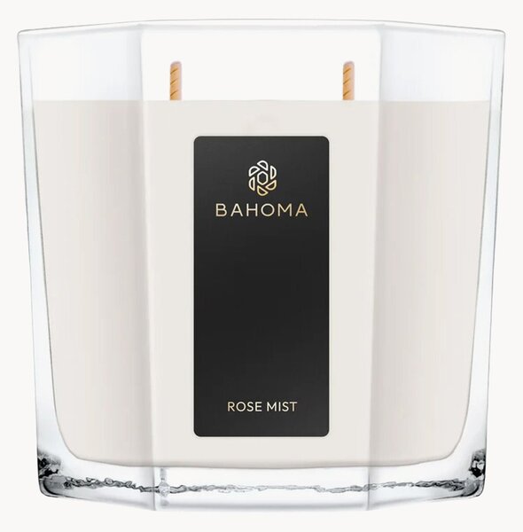 Candela profumata XL versata a mano Rose Mist (pulsante di rosa, mandarino)