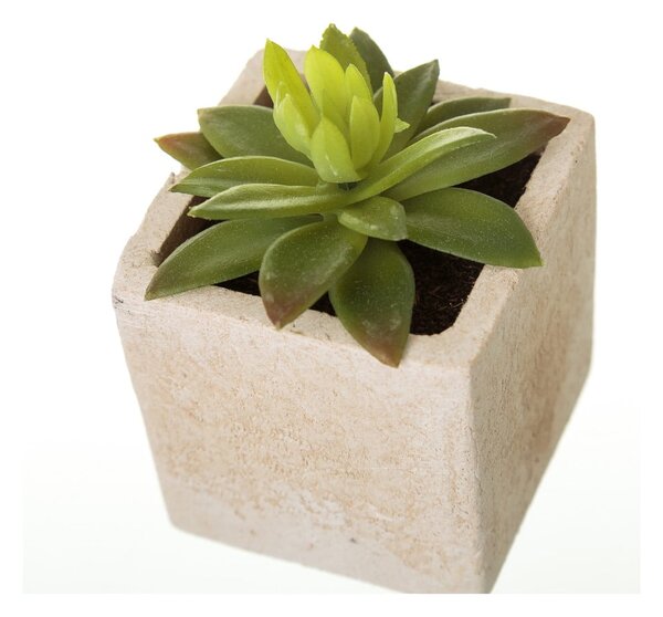 Piante artificiali in set da 6 (altezza 9,5 cm) Cactus - Casa Selección