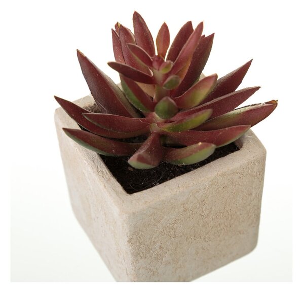 Piante artificiali in set da 6 (altezza 9,5 cm) Cactus - Casa Selección