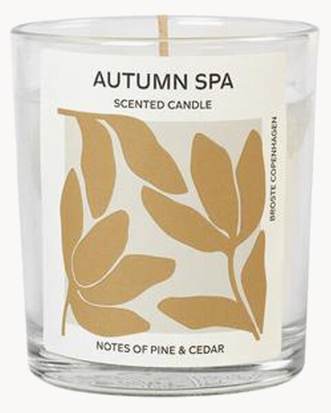 Candela profumata Autumn Spa (pino & cedro)