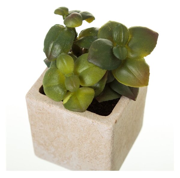 Piante artificiali in set da 6 (altezza 9,5 cm) Cactus - Casa Selección