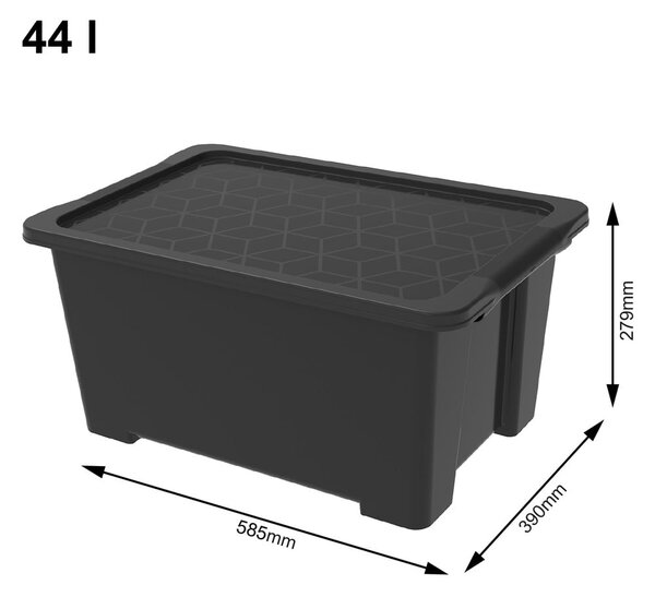 Scatola di plastica con coperchio Evo Easy - Rotho