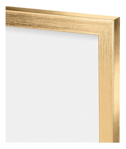 Cornice da parete in plastica oro 55x45 cm - knor