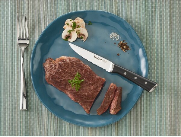 Set di coltelli da bistecca in acciaio inox 4 pezzi Ice Force - Tefal
