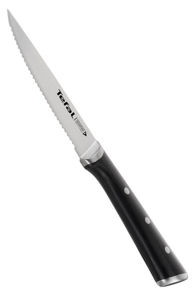 Set di coltelli da bistecca in acciaio inox 4 pezzi Ice Force - Tefal