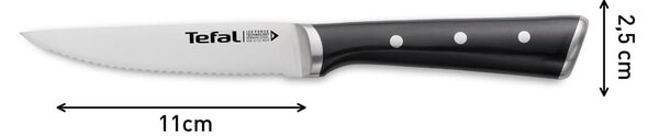Set di coltelli da bistecca in acciaio inox 4 pezzi Ice Force - Tefal