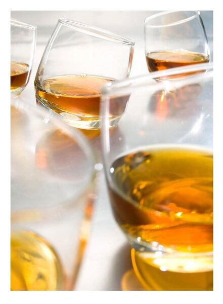 Set di bicchieri da whiskey 6 pz 200 ml Rocking Whiskey – Sagaform