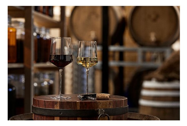Set di 2 bicchieri da vino da 400 ml Rocks - Zone