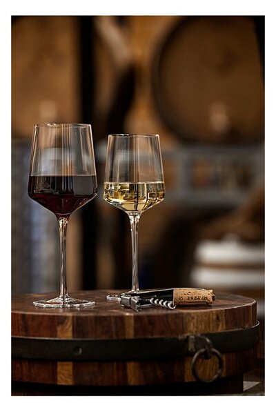 Set di 2 bicchieri da vino da 400 ml Rocks - Zone
