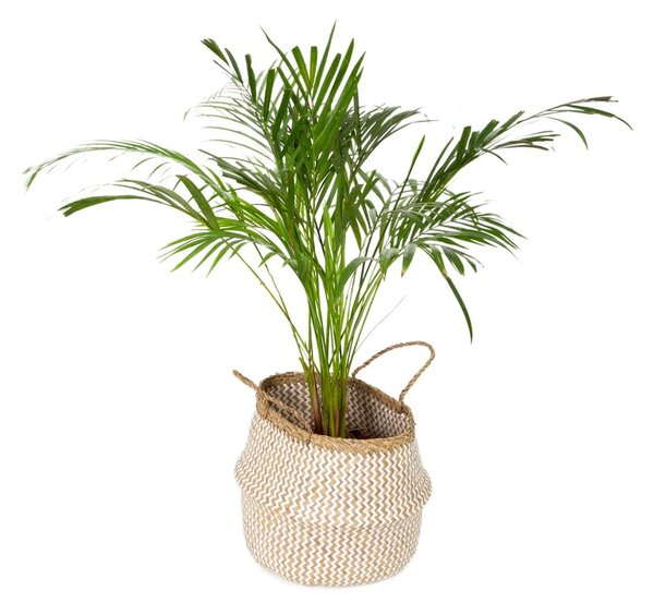 Cesto portaoggetti in seagrass chiaro , ⌀ 35 cm Zic Zac - Compactor