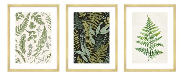 Set di dipinti 3 pz 30x40 cm Fern – knor