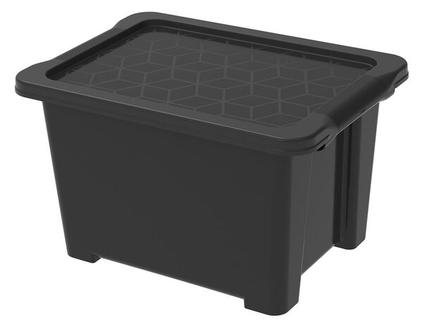 Scatola di plastica con coperchio Evo Easy - Rotho