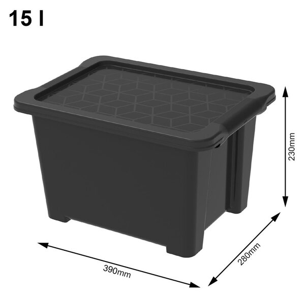 Scatola di plastica con coperchio Evo Easy - Rotho