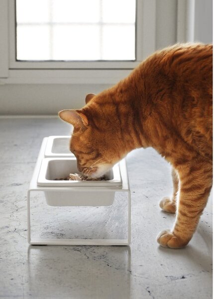 Set di ciotole per animali bianche con supporto Yamazaki Tower - YAMAZAKI