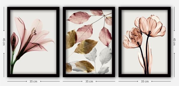 Set di dipinti 3 pz 35x45 cm – Wallity