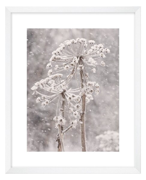 Dipinto 40x50 cm Snow – knor