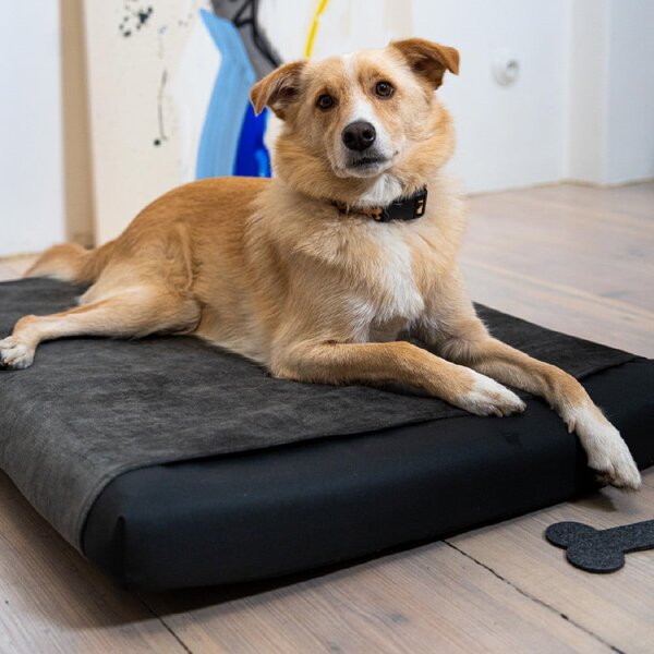 Coprimaterasso grigio scuro per cane 90x70 cm Ori XL - Rexproduct