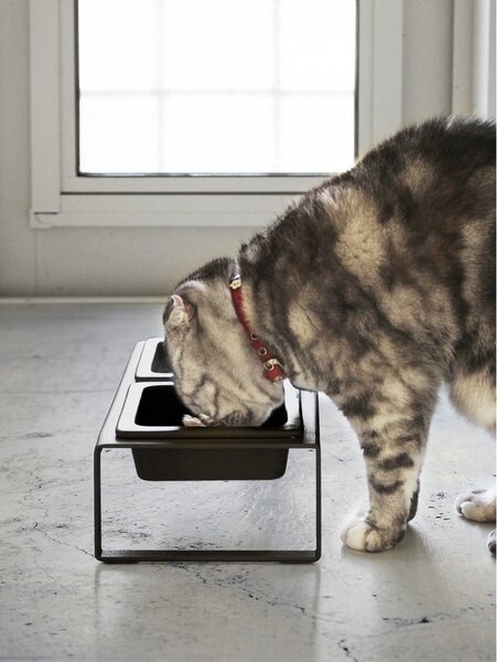 Set di ciotole nere per animali con supporto Yamazaki Tower - YAMAZAKI