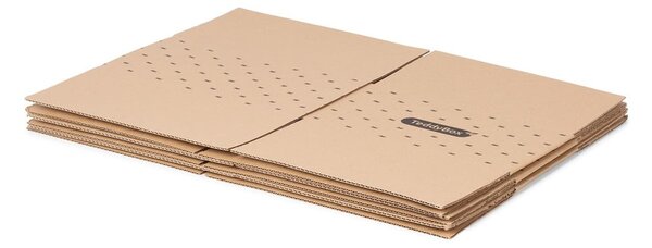 Set di 3 scatole portaoggetti beige Teddy, 35 x 15 cm - Compactor