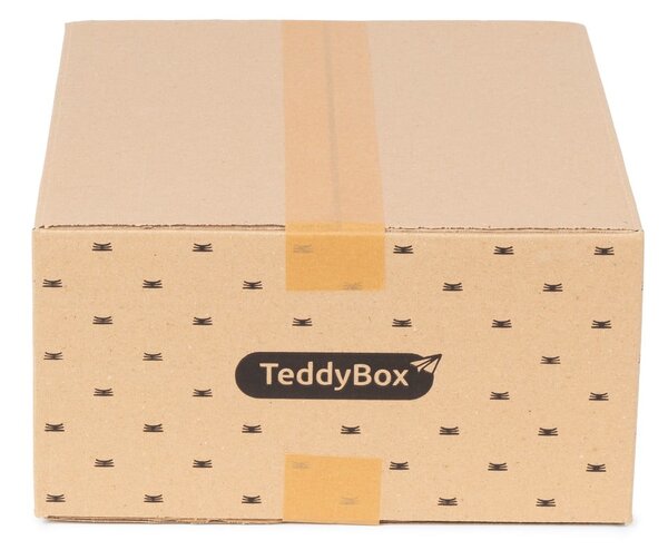 Set di 3 scatole portaoggetti beige Teddy, 35 x 15 cm - Compactor