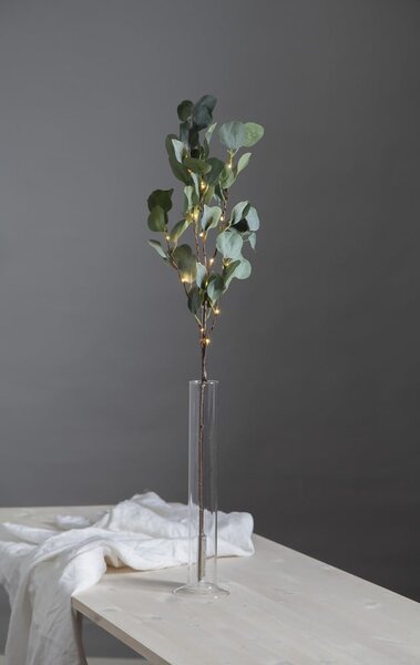 Decorazione luminosa a LED verde, lunghezza 90 cm Eucalyptus - Star Trading