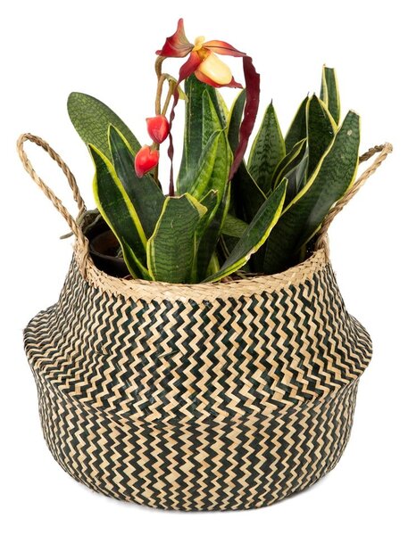 Cestino in seagrass , ⌀ 35 cm Zic Zac - Compactor