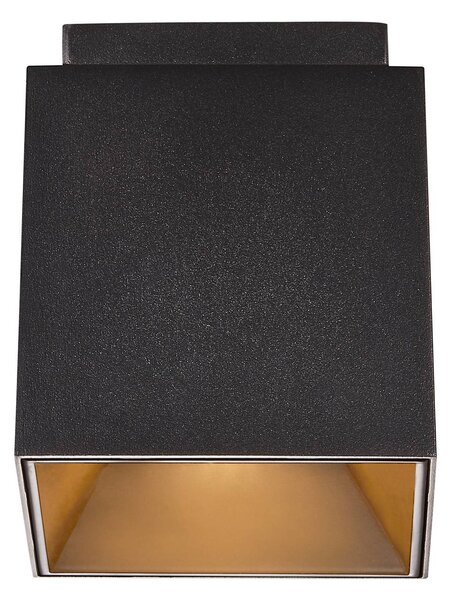 Spot soffitto Ethan, 1 luce, nero