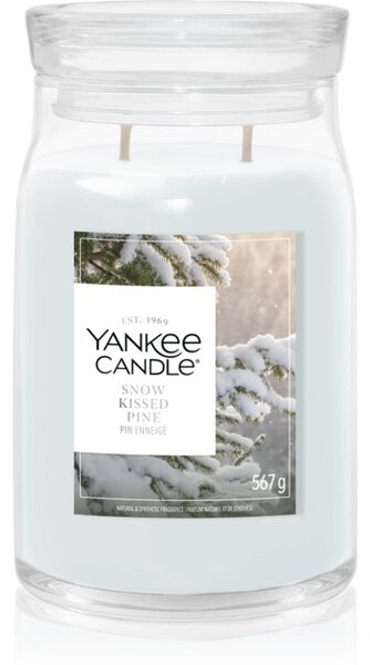 Yankee Candle Snow Kissed Pine candela profumata 567 g